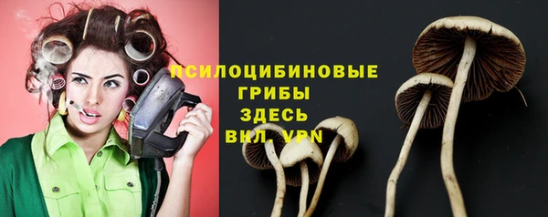 эйфоретик Покровск