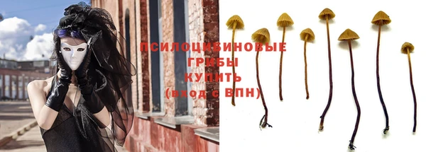 apvp Покачи