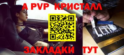 крисы Пенза