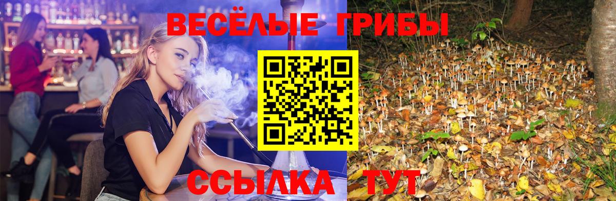 Советск  Галлюциногенные грибы MAGIC MUSHROOMS  Вход с VPN 